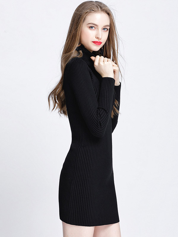 Black Roll Neck Ribbed Style Knit Mini Dress