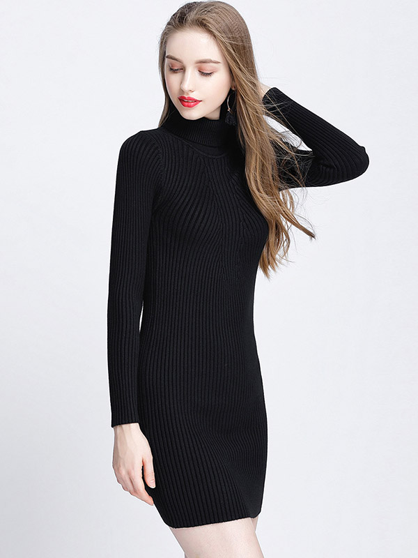 Black Roll Neck Ribbed Style Knit Mini Dress