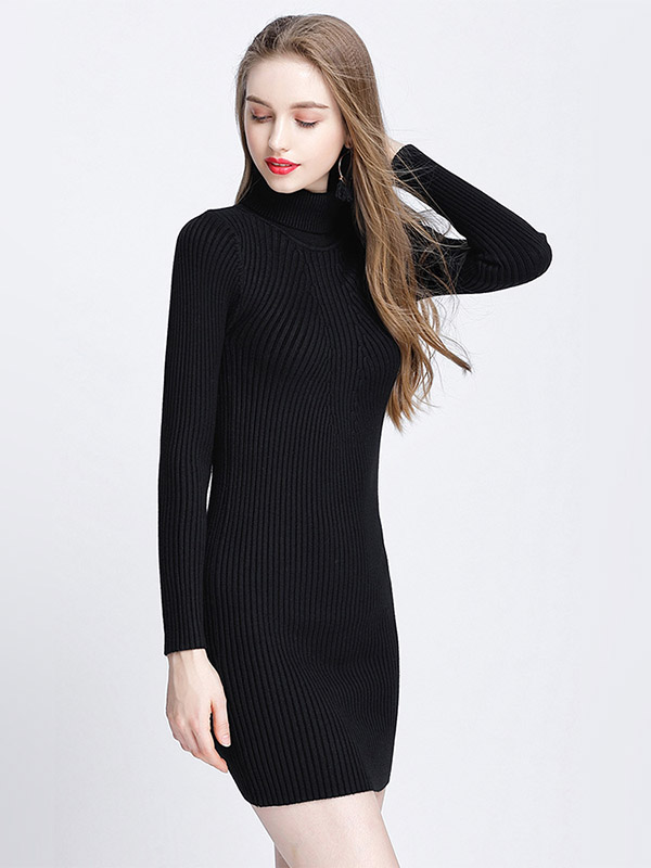 Black Roll Neck Ribbed Style Knit Mini Dress