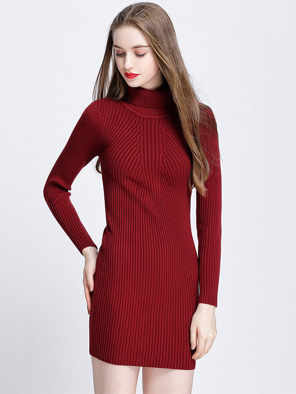 Burgundy Roll Neck Ribbed Style Knit Mini Dress