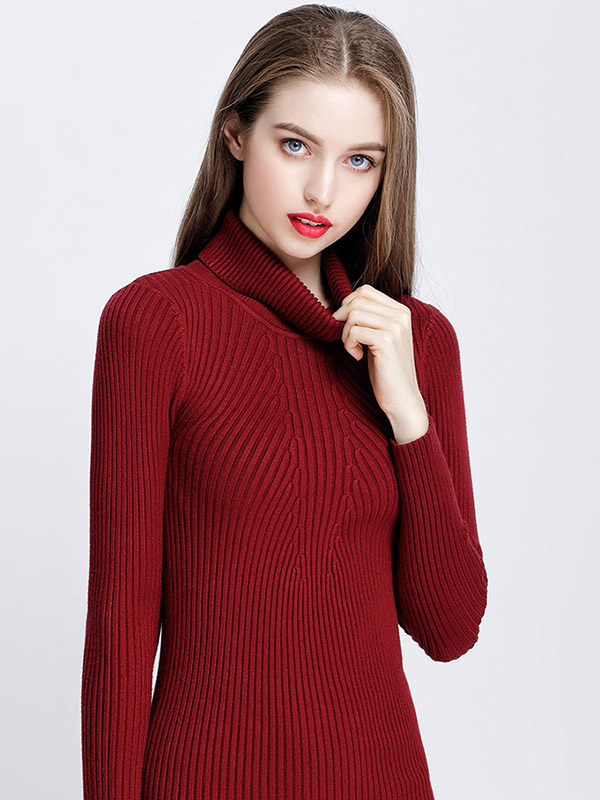 Burgundy Roll Neck Ribbed Style Knit Mini Dress