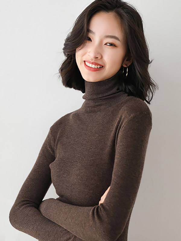 Brown Bodycon Classic Base Knit Sweaters