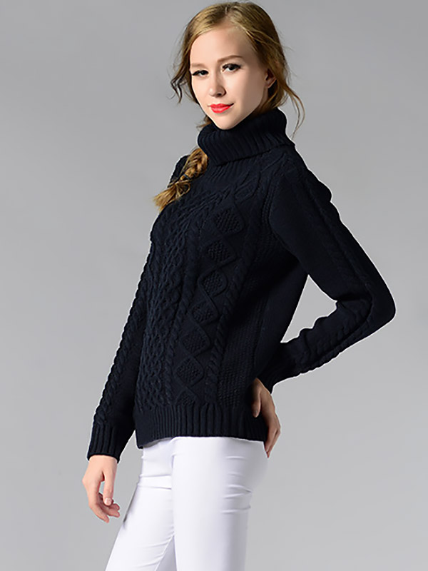 Black Roll Neck Medium Knitted Sweaters